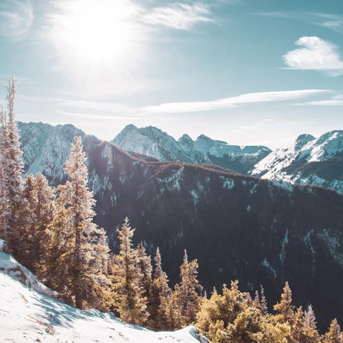 Sun overlooking trees in winter Pacific Northwest landscape